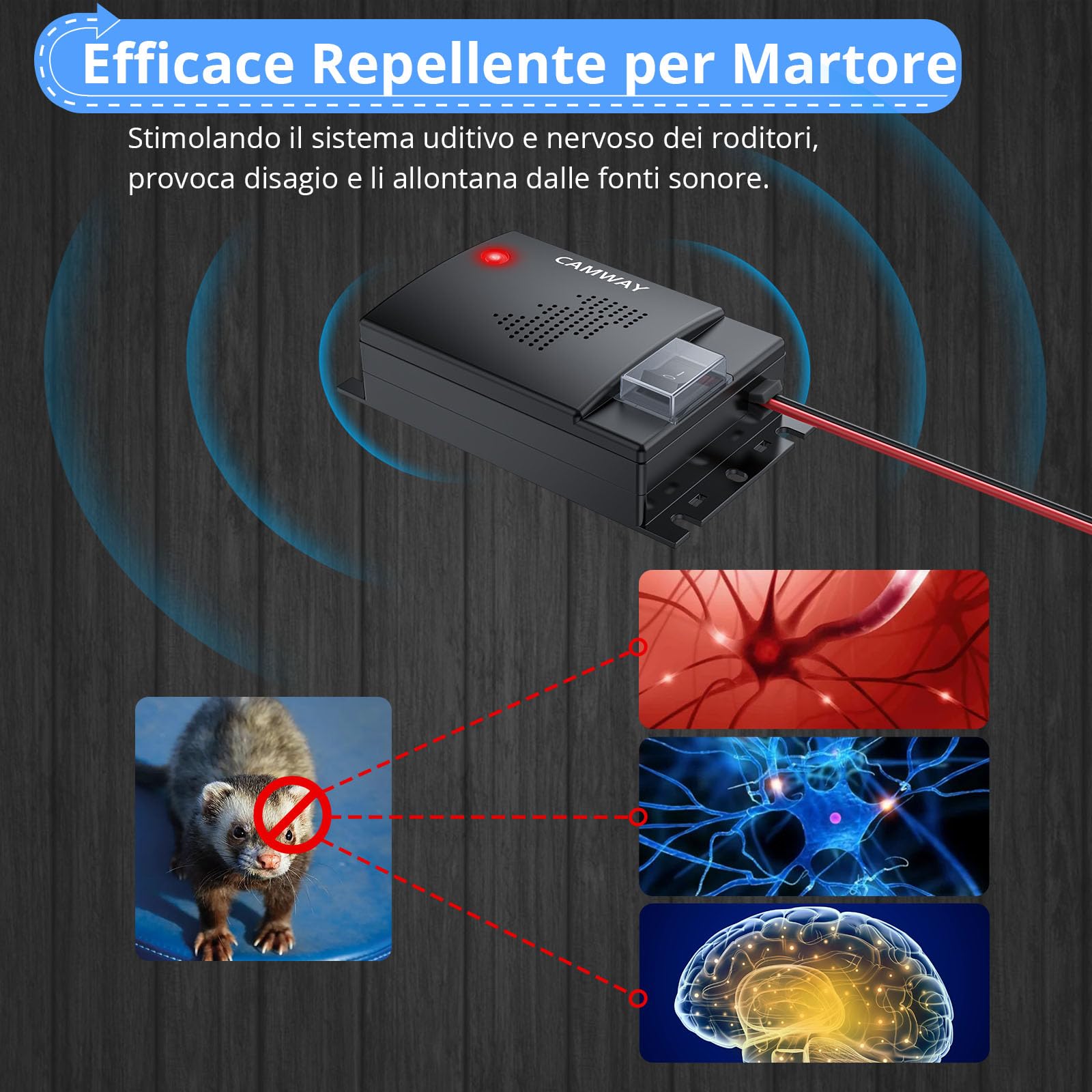 CAMWAY Repellente ad Ultrasuoni per Auto 2 PCS,12-45kHz Onde Sonore con Cavo Estensione 50cm e Luce LED,Scaccia Topi Elettronico per Batteria 12V Vano Motore, Camper, Trattore