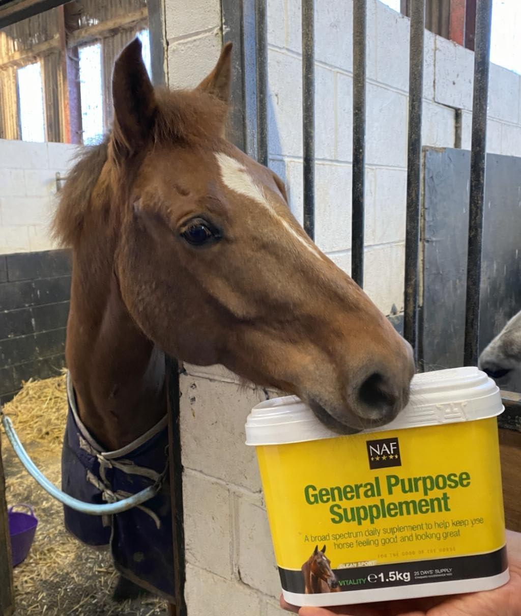 NAF General Purpose Supplement 1.5kg – Daily Vitamin & Mineral Support for Horses – Supports Condition, Coat Health, Hoof Strength & Overall Wellbeing — view 3
