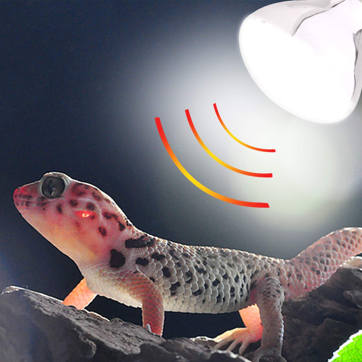 AIICIOO UVB UVA Bombilla Calor de Reptiles y Anfibios Promover la Síntesis D3 para Tortuga/Camaleón/Serpiente/Polluelo E27 220-240V 125W