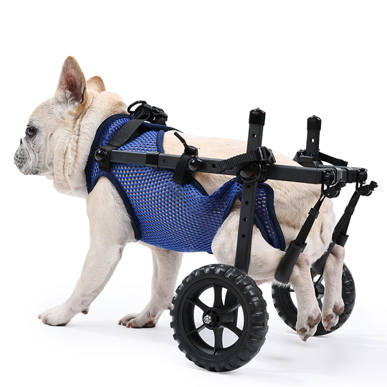 Sedia a rotelle per cani, carrello regolabile per animali domestici con ruote per gambe posteriori, tutore per gambe e supporto per fianchi, aiuta piccoli animali domestici con arti posteriori