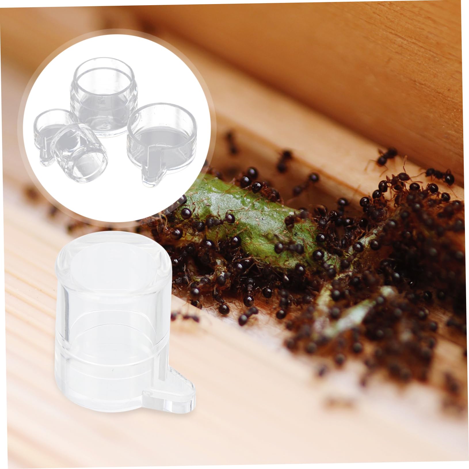 FONDOTIN 2Pcs Water Feeding Bowl Durable Drinking Bowls Lightweight Compact Design Transparent Water Level Indicator Easy to Clean Store for Nest