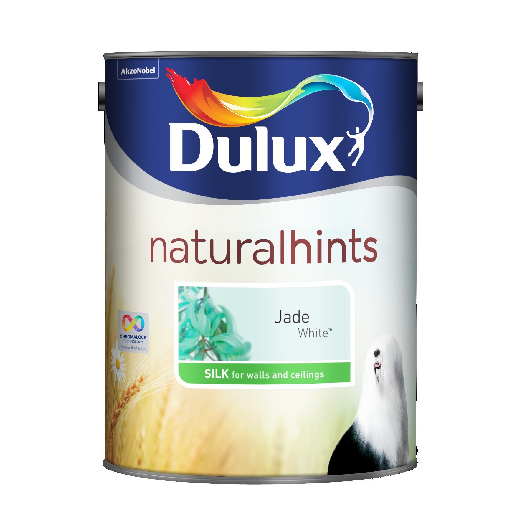Dulux 500007 DU Silk Paint, 5 L - Jade White