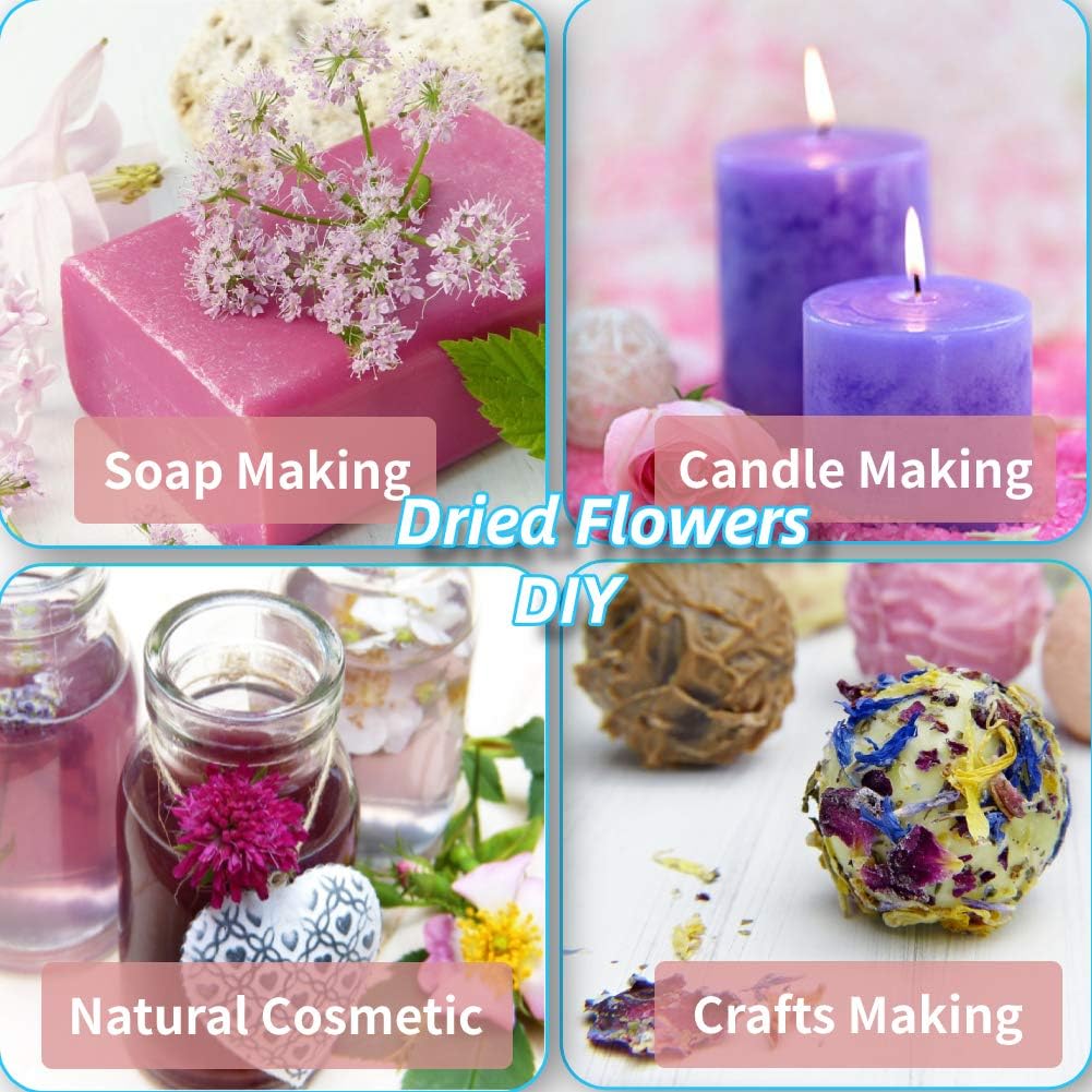 Dried Flowers, Natural Dried Flower Herbs Kit for Bath, Soap Making, Candle Making - 9Bag Include Dried Lavender, Rose Petals, Jasmine Flower and More