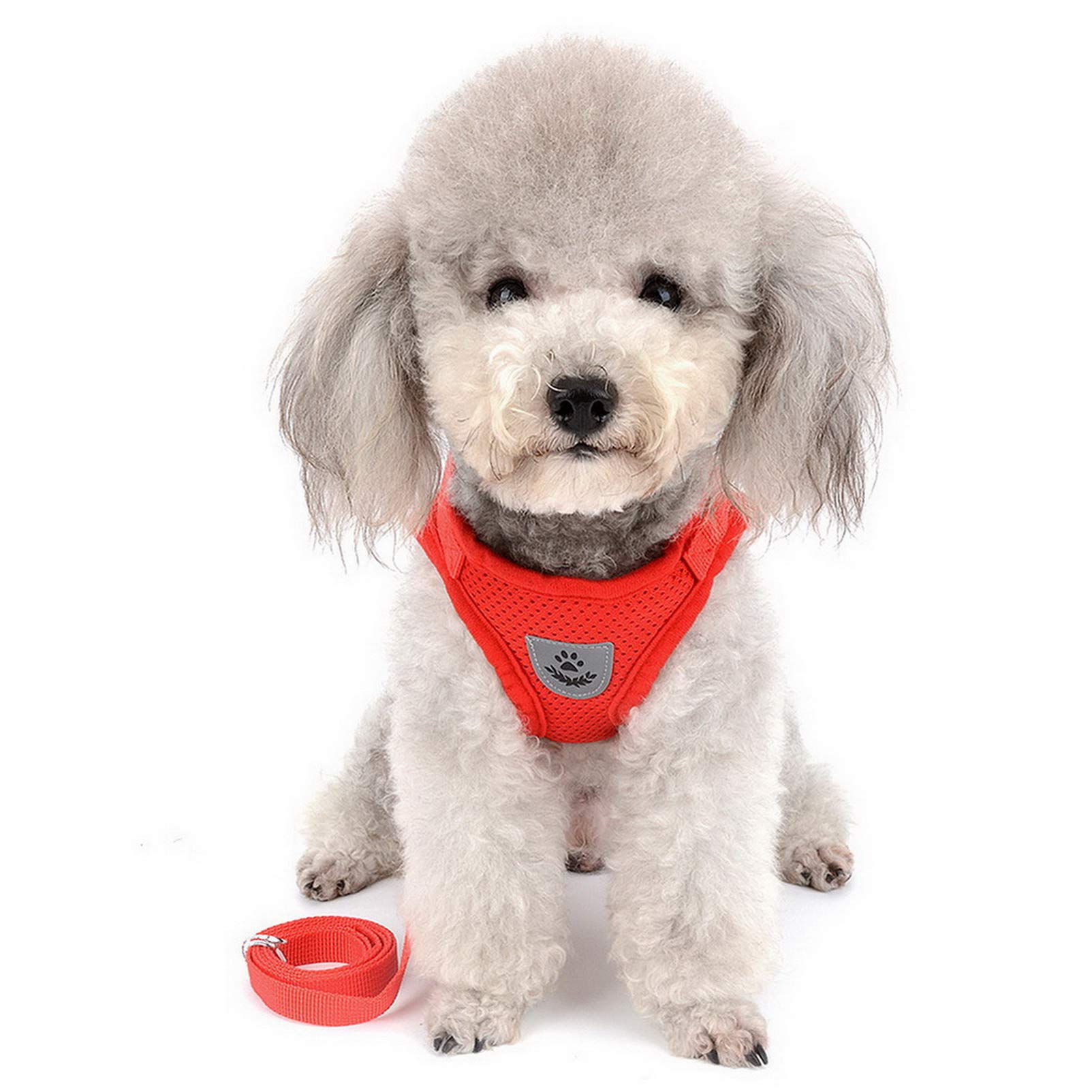 Amazon | ハーネス 犬 胴輪 はーねすリードセット小型犬 超小型犬 子犬
