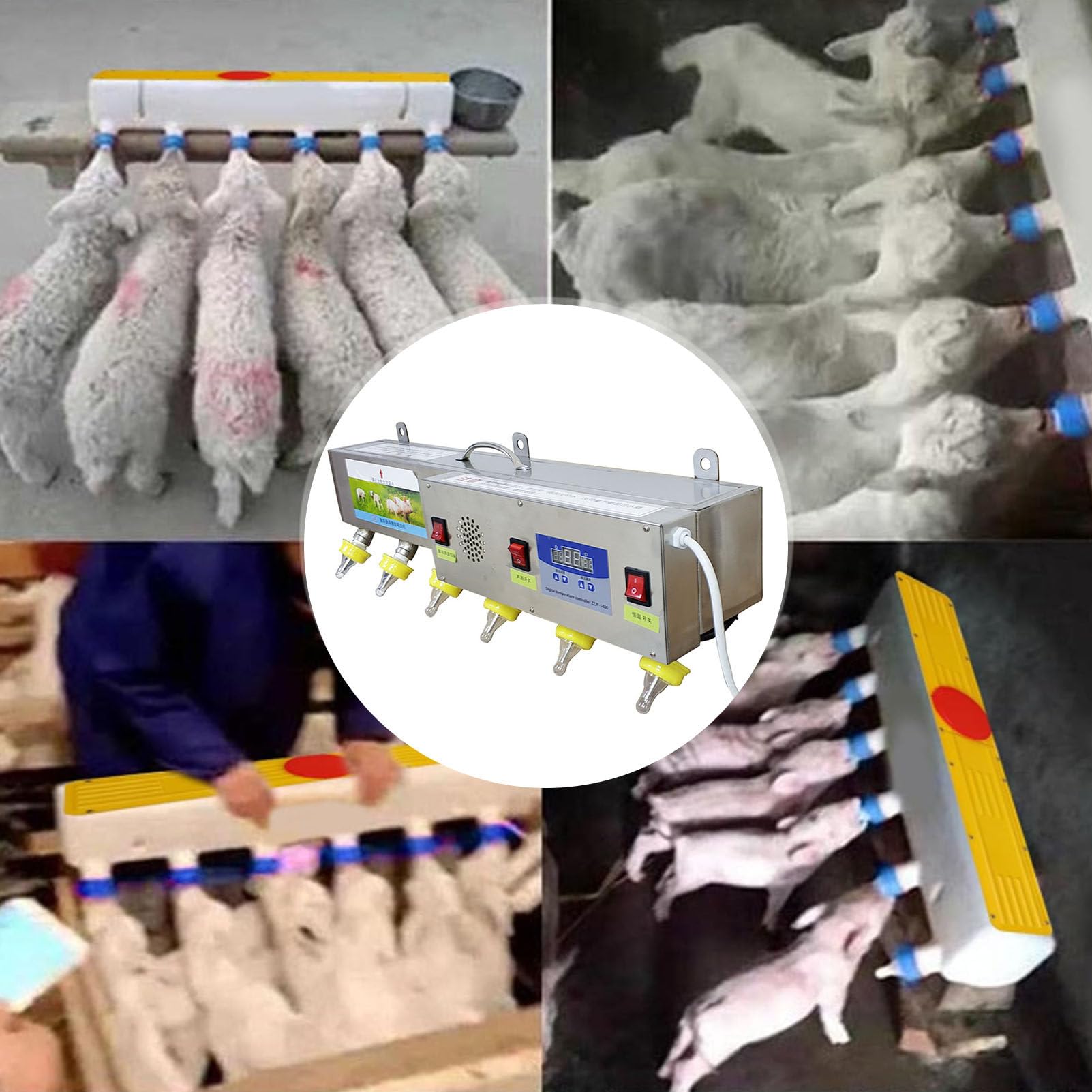 Comedero universal para lechones y corderos, alimentador de acero inoxidable a temperatura constante, 6 comederos de tetina totalmente automáticos con simulación de sonido