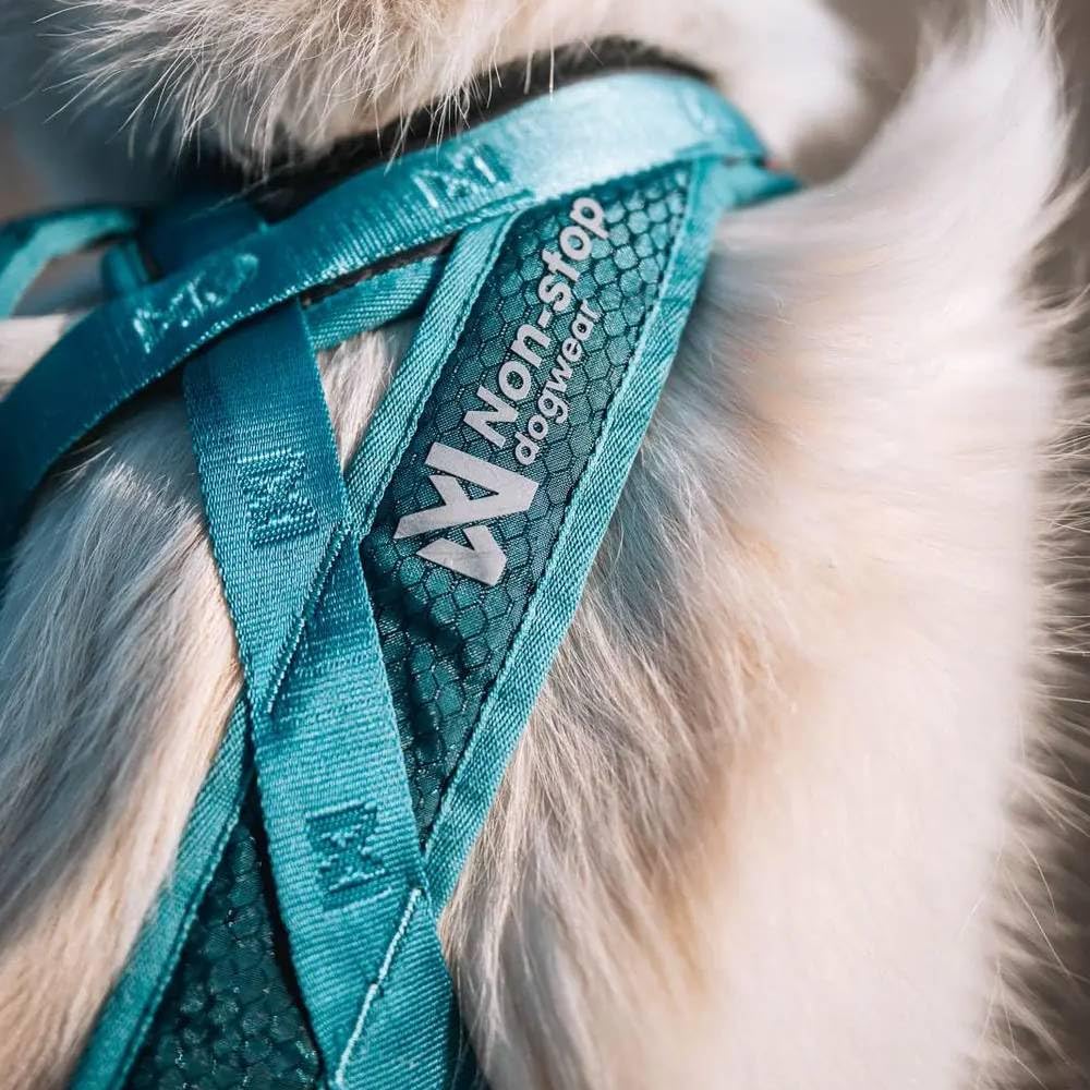 Non-Stop Dogwear Rush - Arnés verde azulado, talla 6
