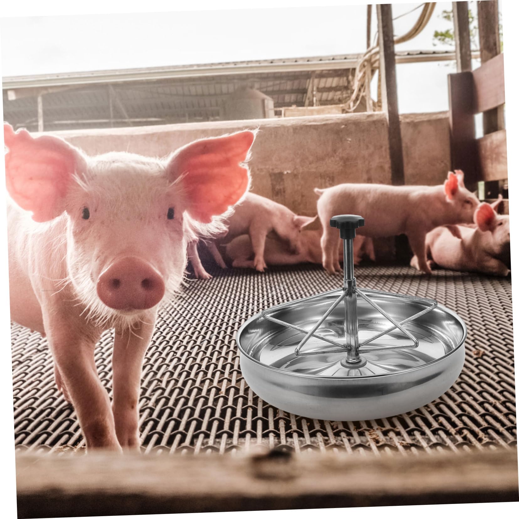 Alimentatore Per Suinetti Inossidabile Trogolo Stabile e Facile Da Pulire Per Allevamenti Di Maiali Resistente e Sicuro Mangiatoia Per Animali Da Fattoria