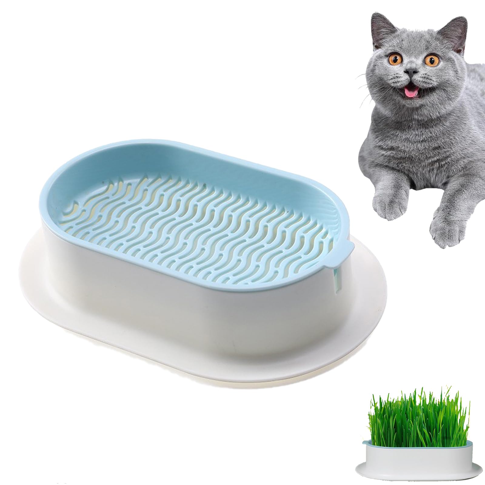 Maceta de Hierba para Gatos, Bandeja para Macetas de Hierba para Gatos, Caja de Hierba para Gato, Kit de Cultivo de Hierba para Gatos, Bandeja de Germinación, para Habitación, Balcón y Terraza