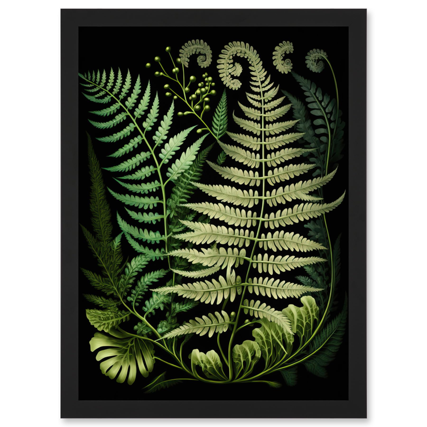 Artery8 Ernst Haeckel Style Fern Fronds Illustration Artwork Framed Wall Art Print A4