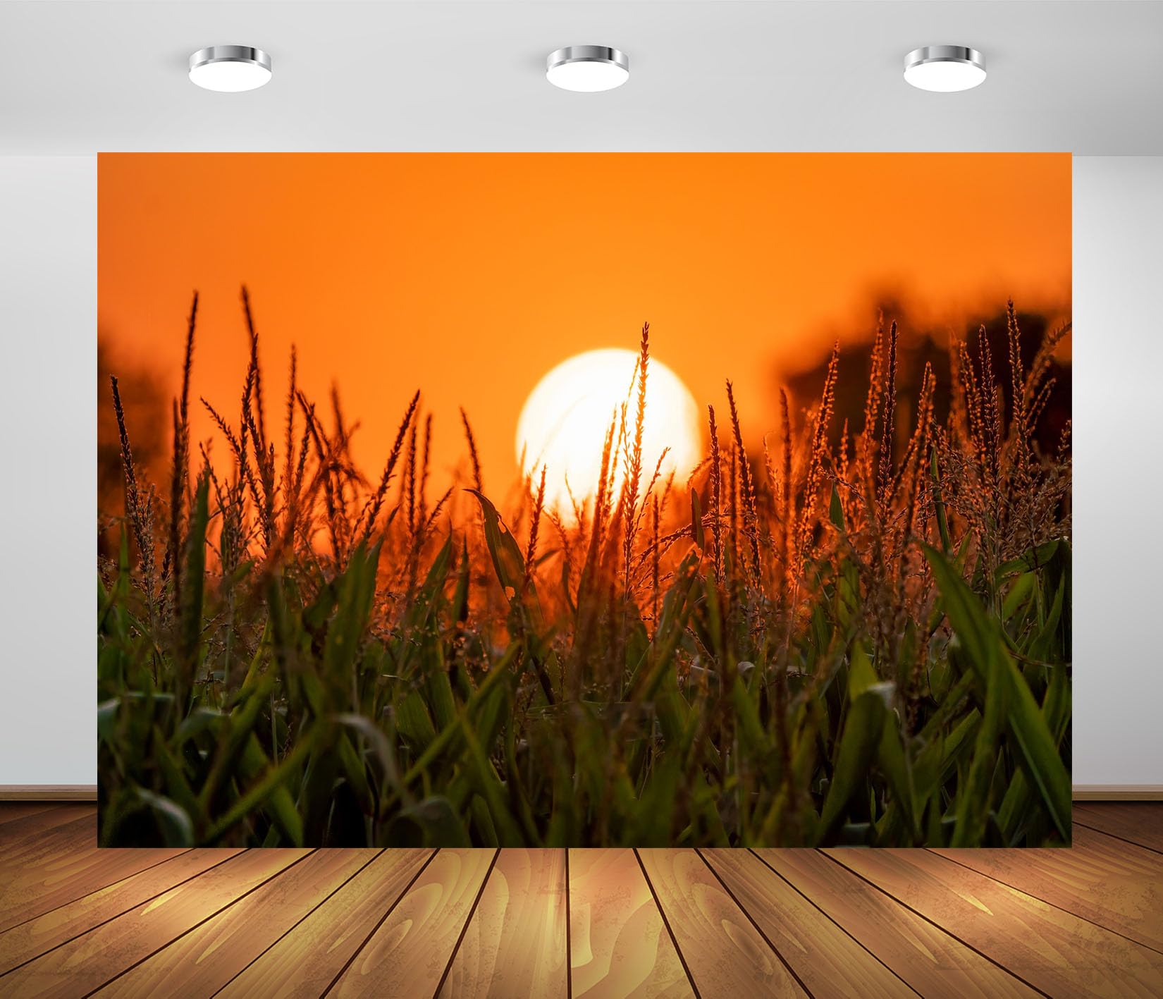 10x6.5FT (3x2m) Campo Di Mais Al Tramonto Sfondo Fotografico