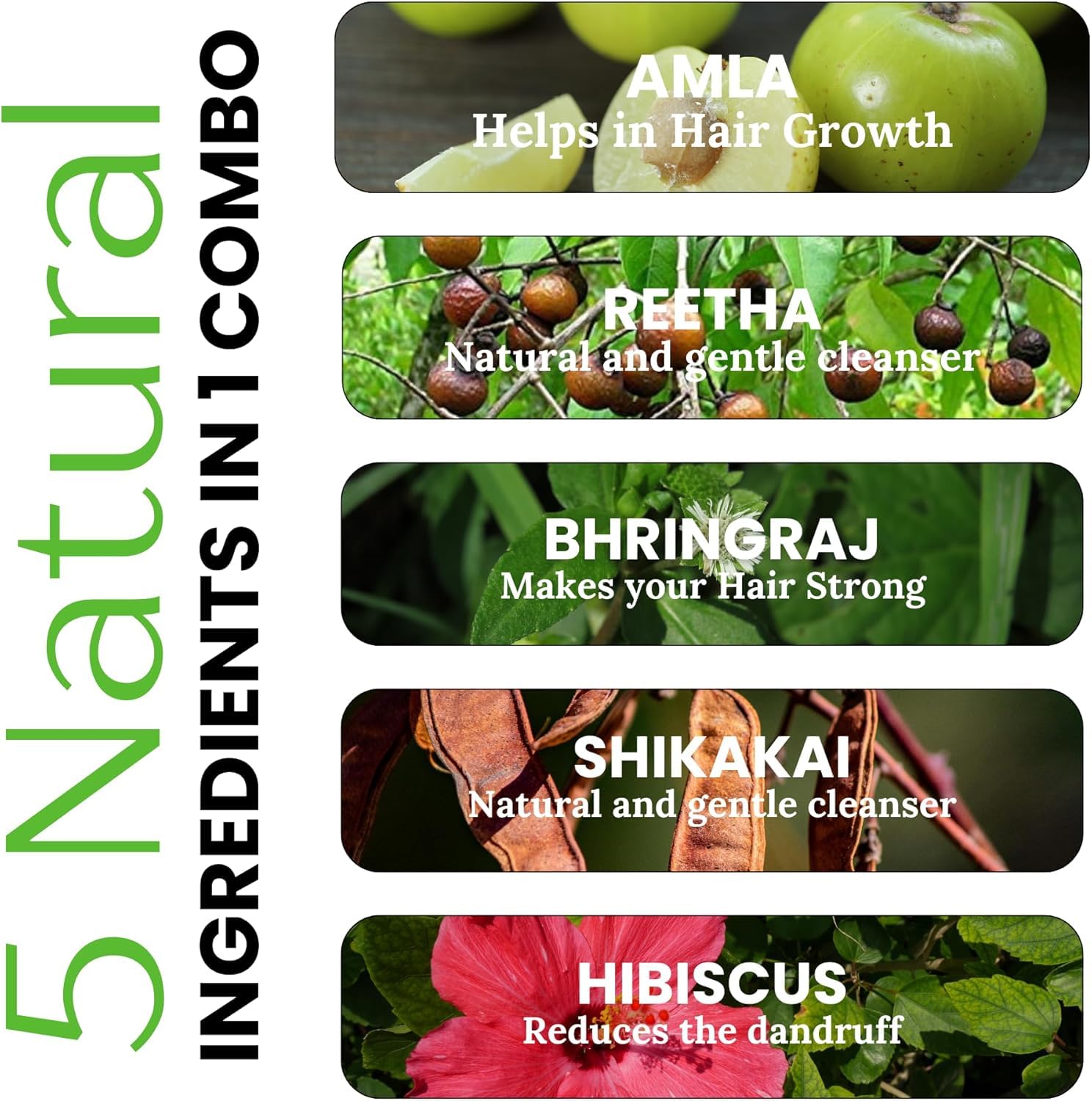 Havintha Amla, Reetha, Shikakai, Bhringraj e Hibisco en polvo para el cuidado del cabello (cada uno 50 g)