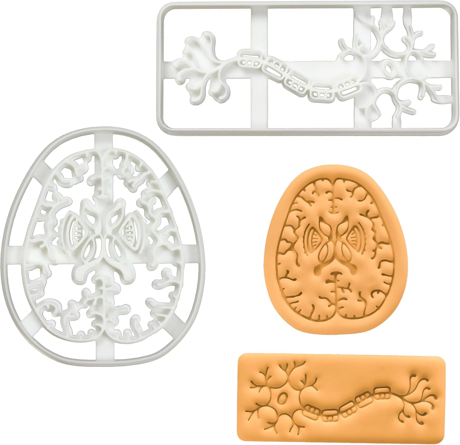Set of 2 cookie cutters (Designs: Neuron & Brain Axial Section), 2 pieces - Bakerlogy