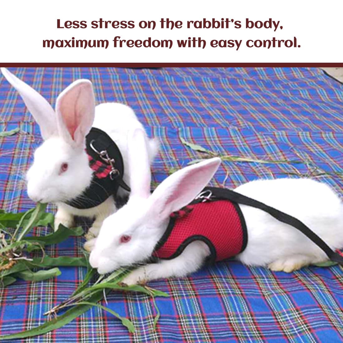GXGM Confortevole Imbracatura per Coniglio con Elastico Guinzaglio Pettorina Morbido Traspirante per Criceti Ratto Riccio Topo Animali Piccoli