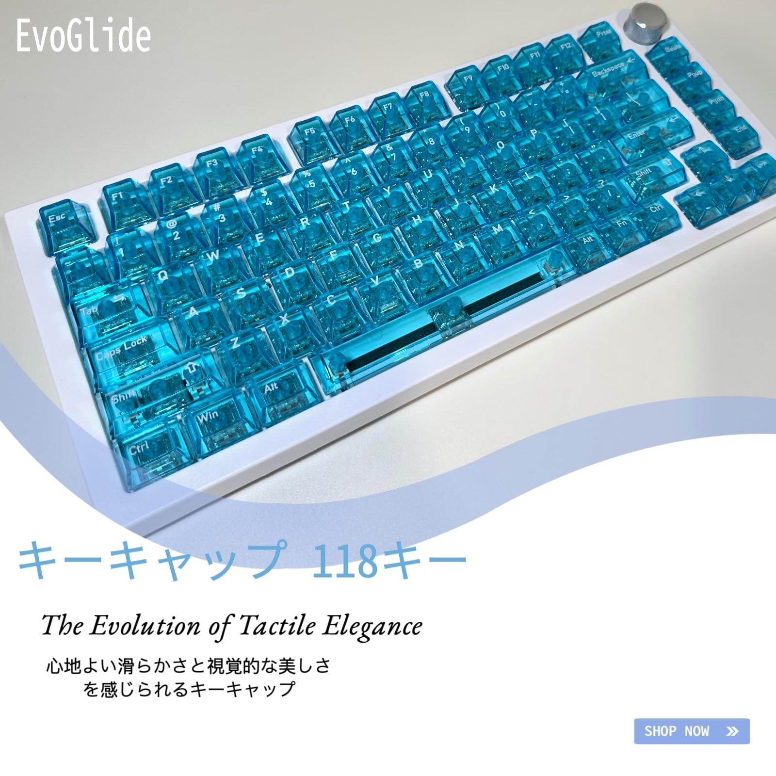 Amazon.co.jp: EvoGlide【海辺の夏】キーキャップ 118キー Cherry