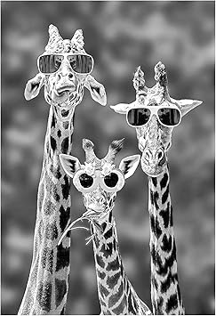 Amazon 抽象的なキリン面白いポスターやプリント黒 白動物キャンバスアート絵画壁の写真リビングルームの装飾フレームなし アートワーク ポスター オンライン通販