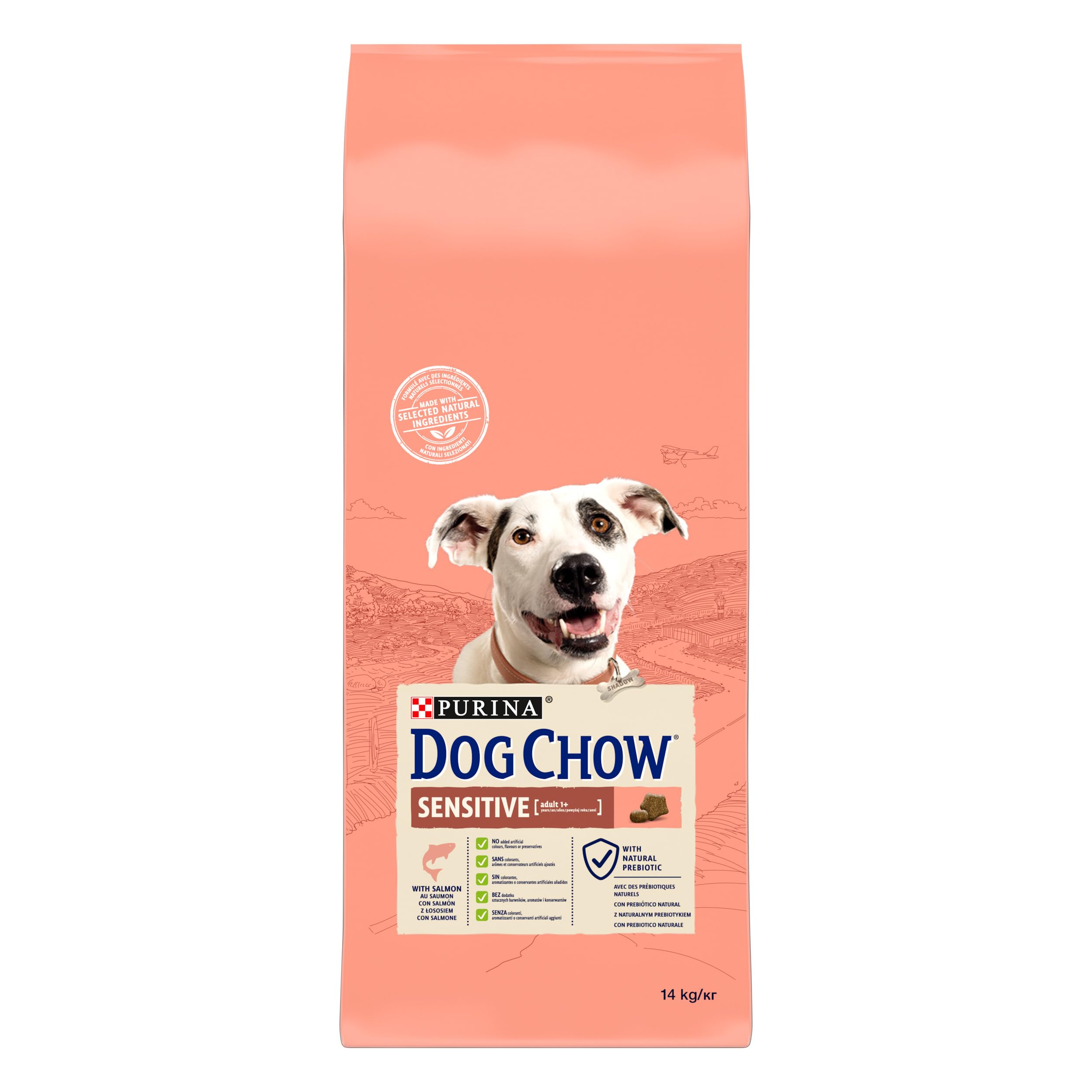Purina Dog Chow Pienso para Perro Adulto con Digestión Sensible con Salmón, saco de 14kg
