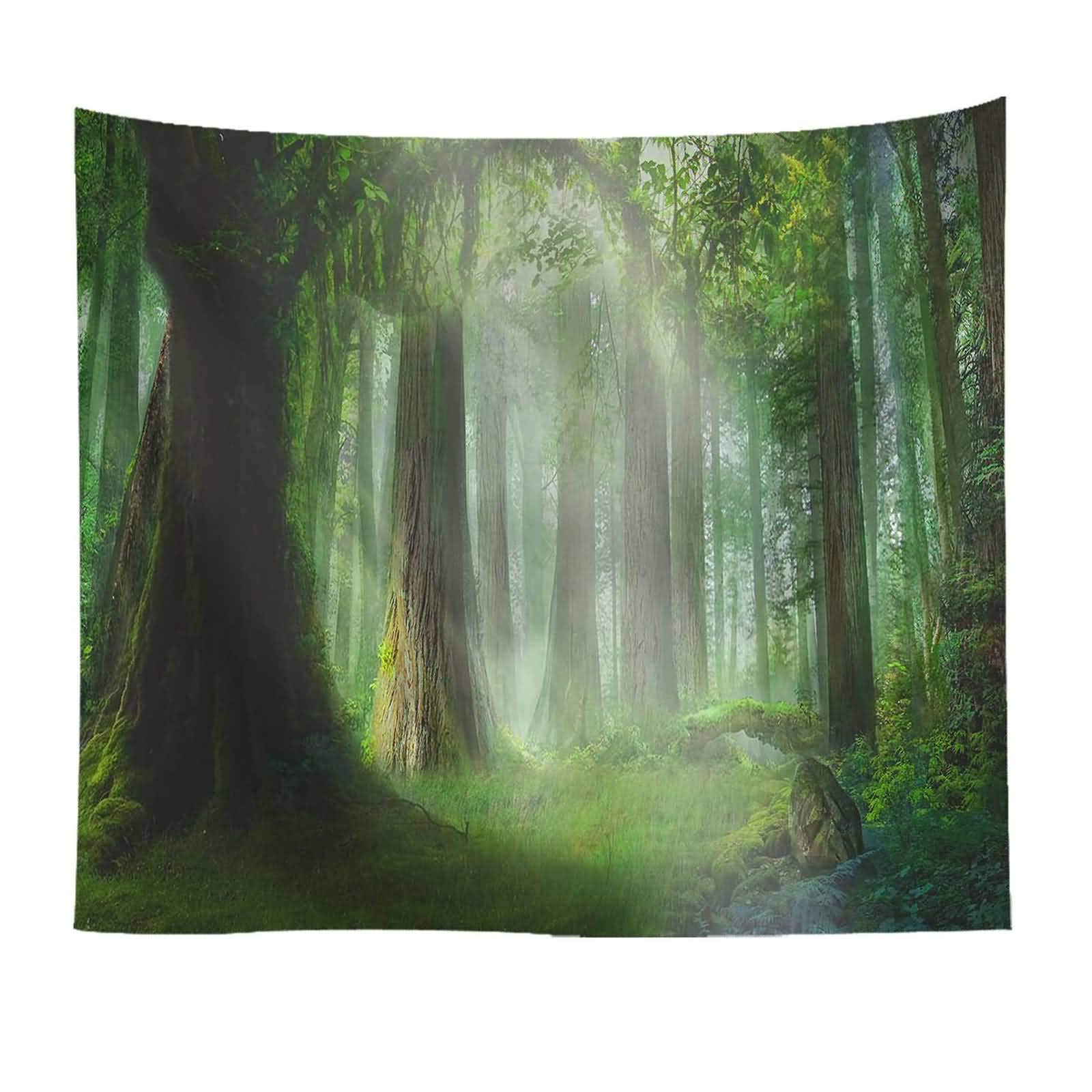 Tenture murale decoration pour masquer grand mur blanc vide