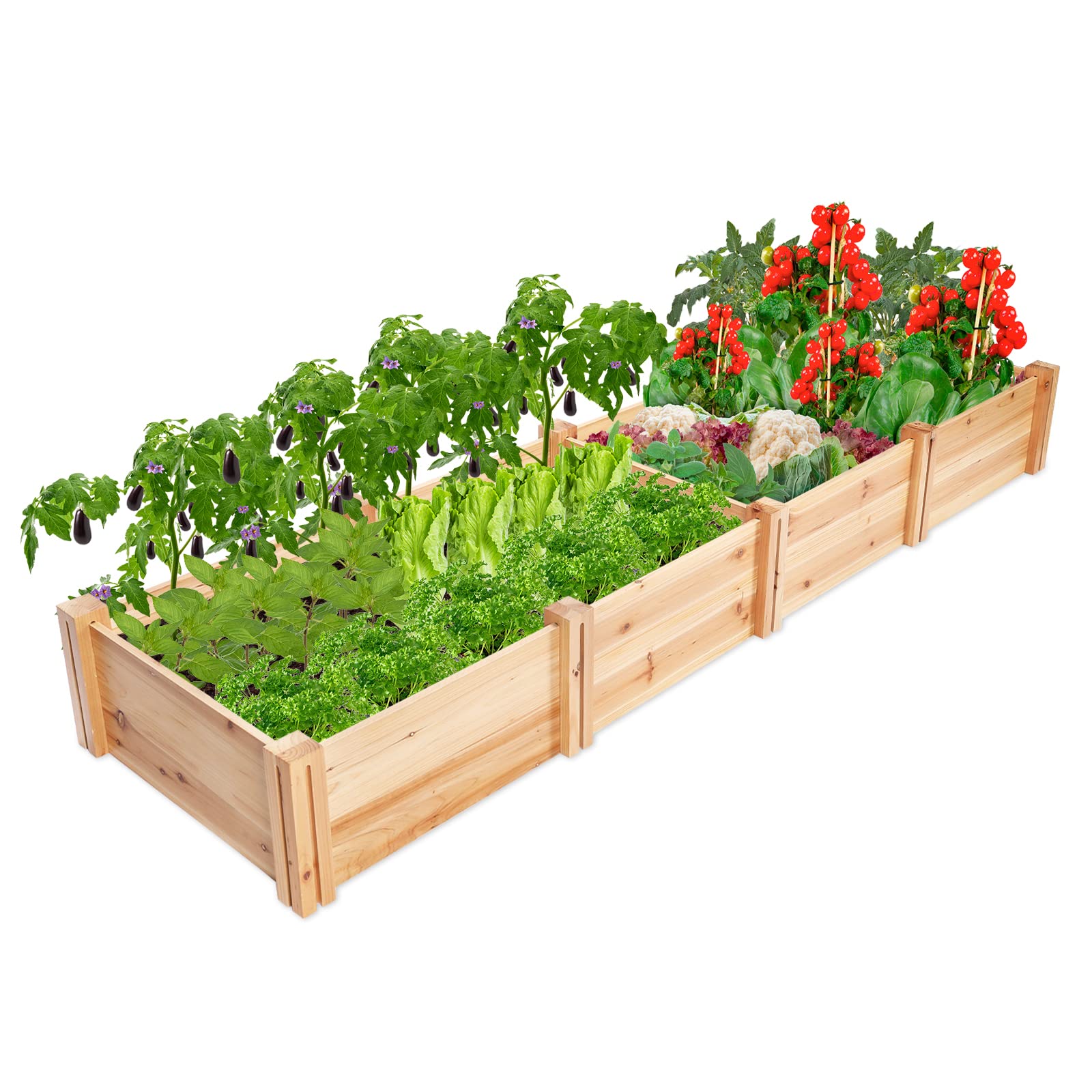 Chonsun Wooden Raised Garden Bed and Self Watering Spikes 8 Pack for Outdoor Plant