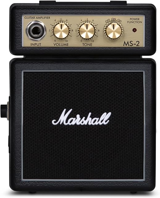 Marshall MS2 Micro Amp