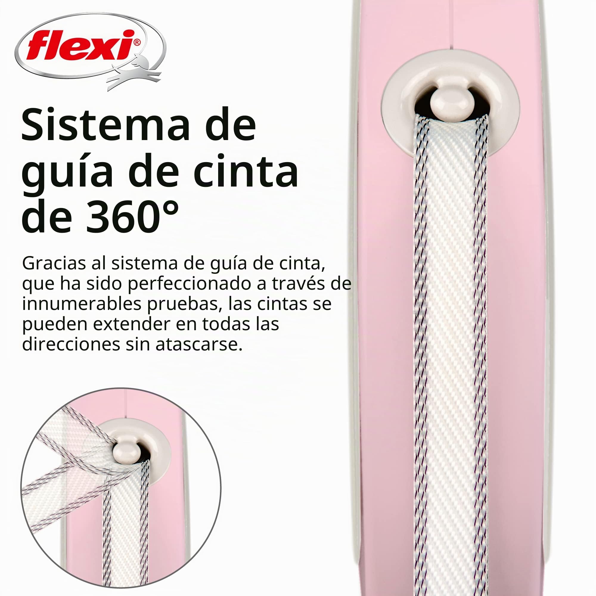 Flexi Correa de Perro retráctil Rosa, 10 pies, pequeña