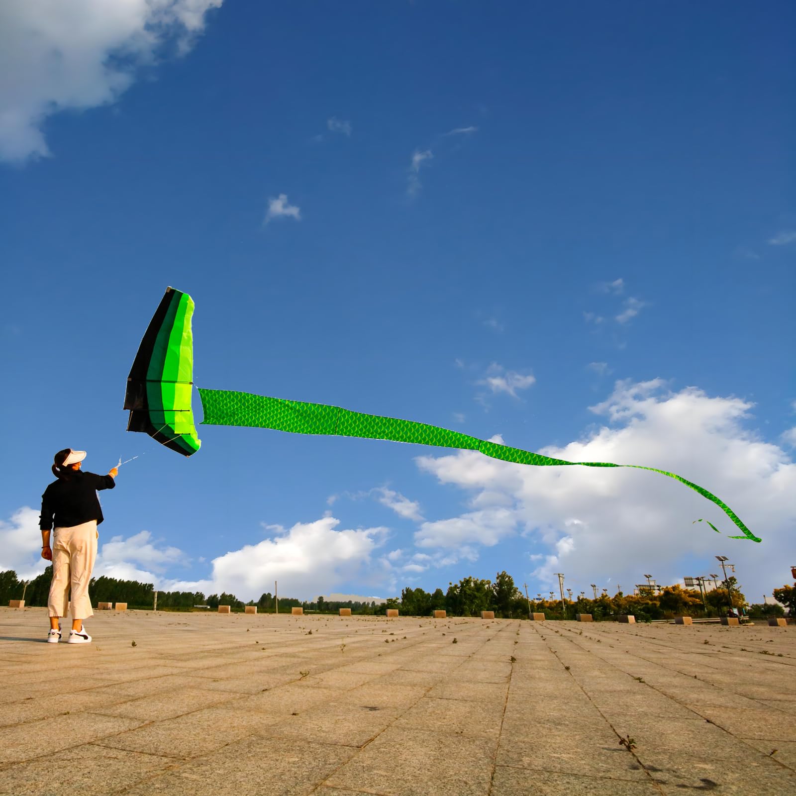 Cerf-volant professionnel pour adulte avec longue queue – Énorme, beau, style planeur à un excellent rapport qualité/prix, sans ficelle de cerf-volant