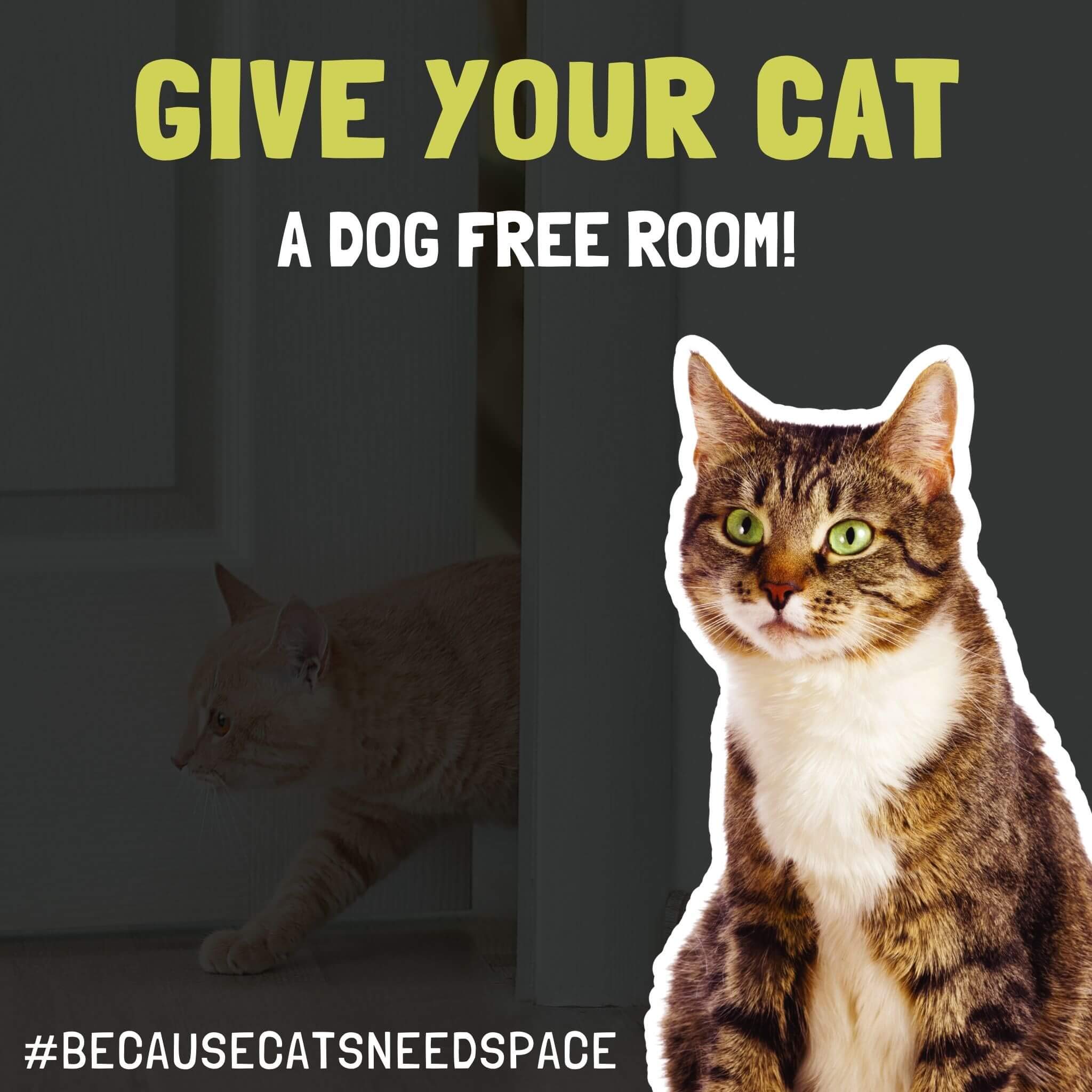 Buy Door Buddy Adjustable Door Strap & Latch. Easy Way To Dog Proof