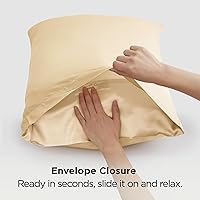 Vista 101 de Bedsure - Juego de 2 fundas de almohada de satén