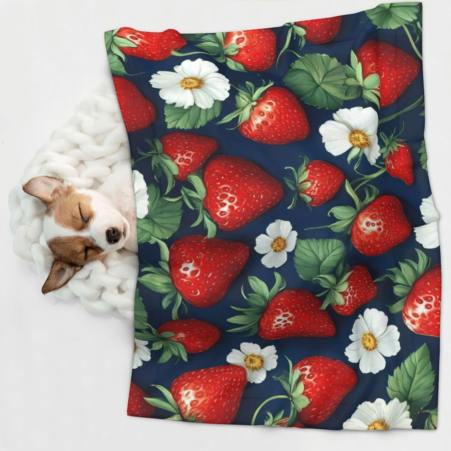 Strawberry2 Print Soft Plush Pet Blanket, Washable Dog Blanket, Cat Fleece Throw, Puppy Bed Crate Mat & Sofa Couch Protector - Large