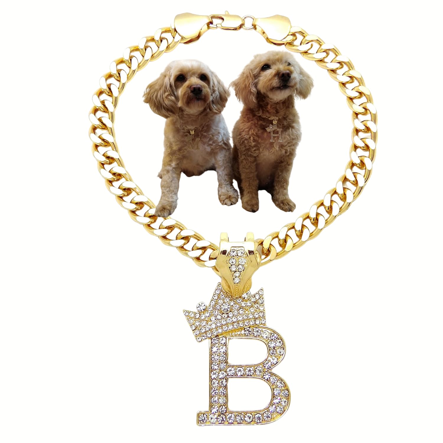 Initial Letter Cuban Chain Dog Chain Pet Chain Pet, Cat, Puppy Necklace (B, 24")