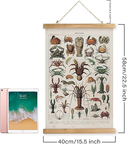 Miniatura 288 de XIAOAIKA Póster de botánica vintage con marco de madera, tabla de plantas venenosas antiguas, arte educativo botánico con especies peligrosas, 1