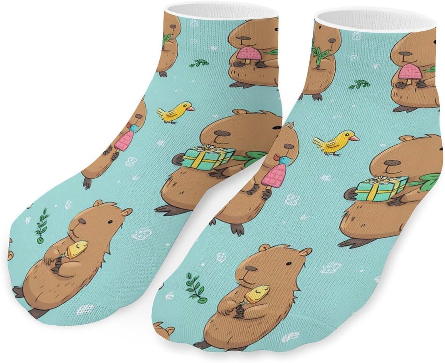 Capybara Bird Cake Present Popsicle No Show Ankle Socks Low Cut Non Slip Flat Boat Line 5 Pairs Set