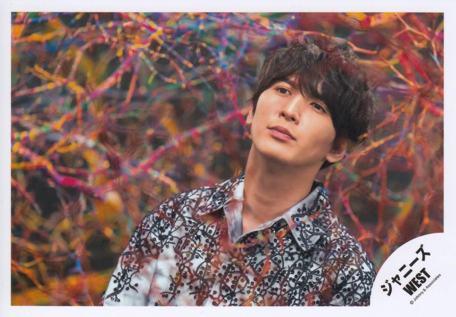 Amazon.co.jp: ジャニーズWEST 公式生写真 （藤井流星）WA00525 : おもちゃ