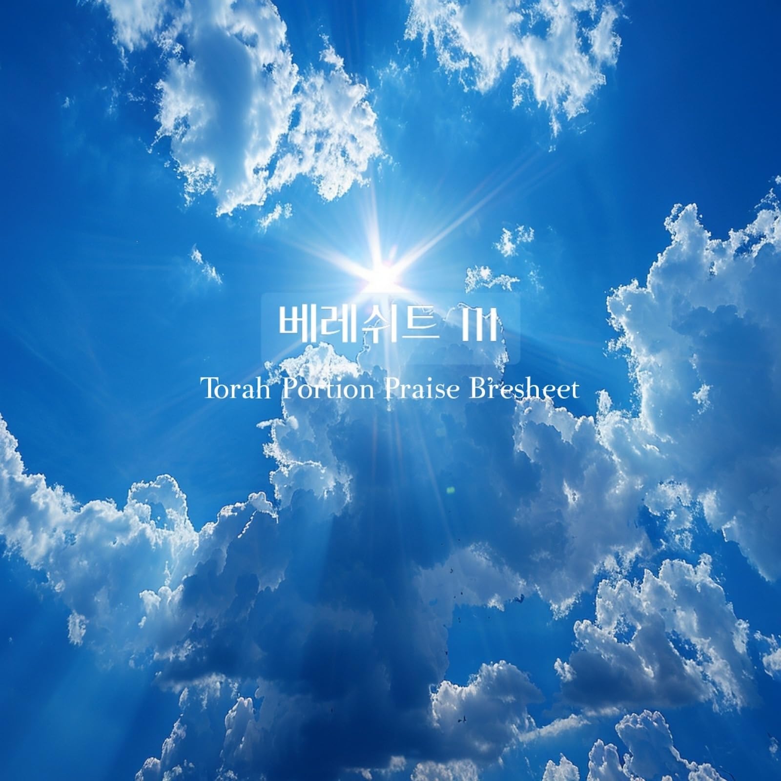토라포션 프레이즈 Torah Portion Praise