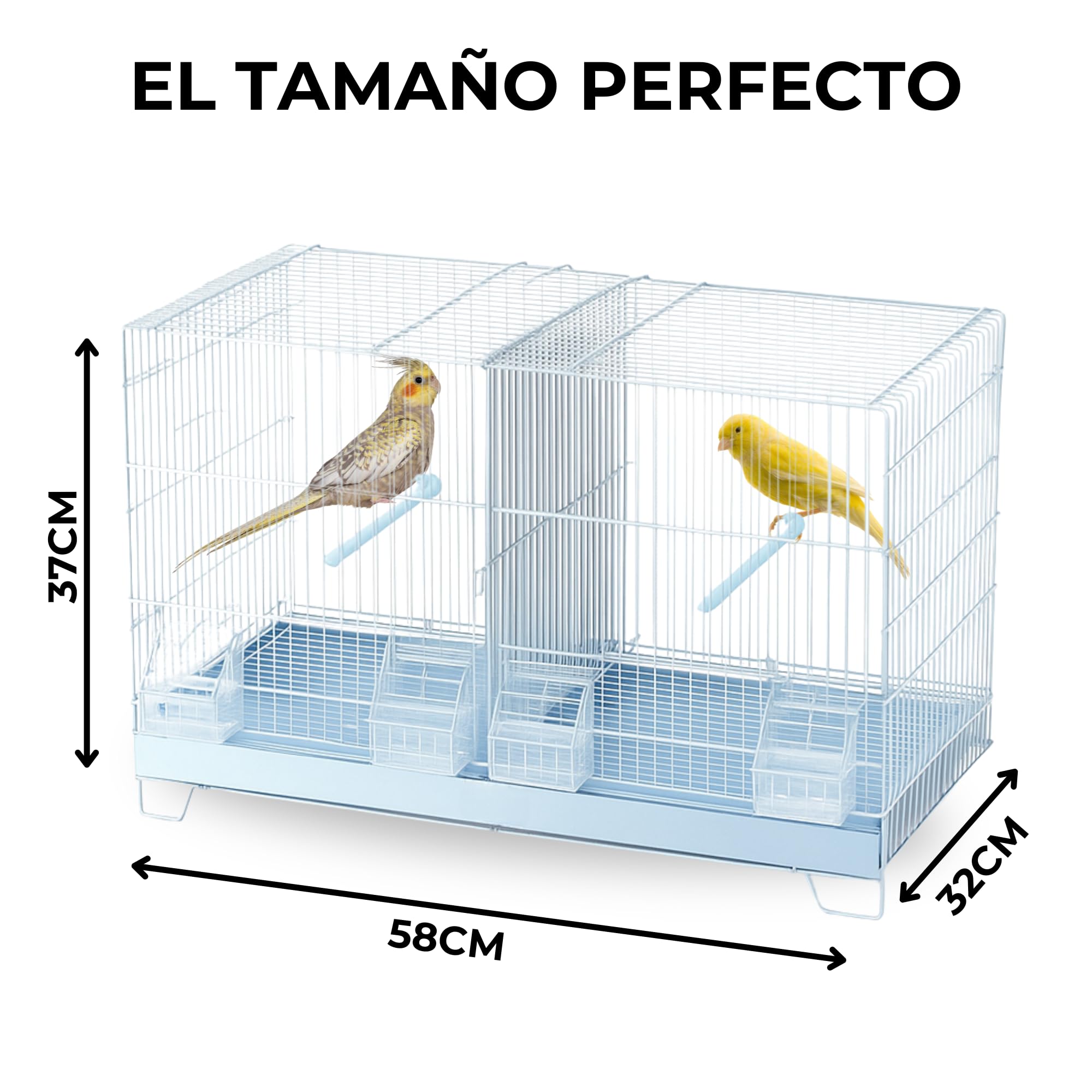 MOLY Jaulón de cría para pájaros 58 x 32 x 37 cm | Jaula Desmontable con Base elevada | Pajarera, Nido Ideal para reproducción y cría de Aves pequeñas