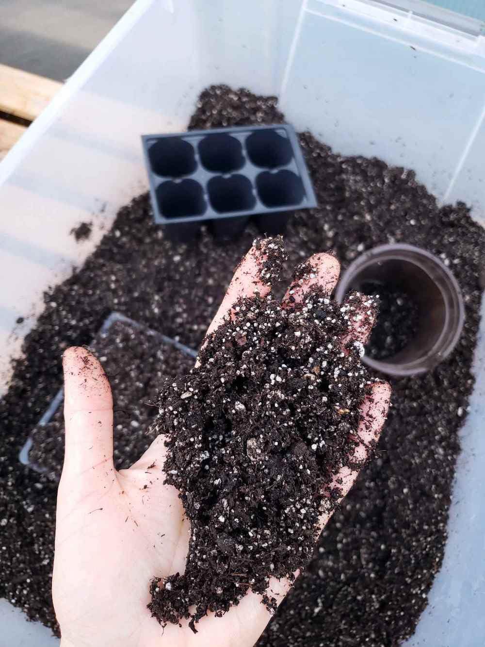 BIOVITA Do wysiewu z włóknami kokosowymi, 5 l, wieloskładnikowa ziemia do roślin, gotowa do użycia, ziemia pochodzenia naturalnego