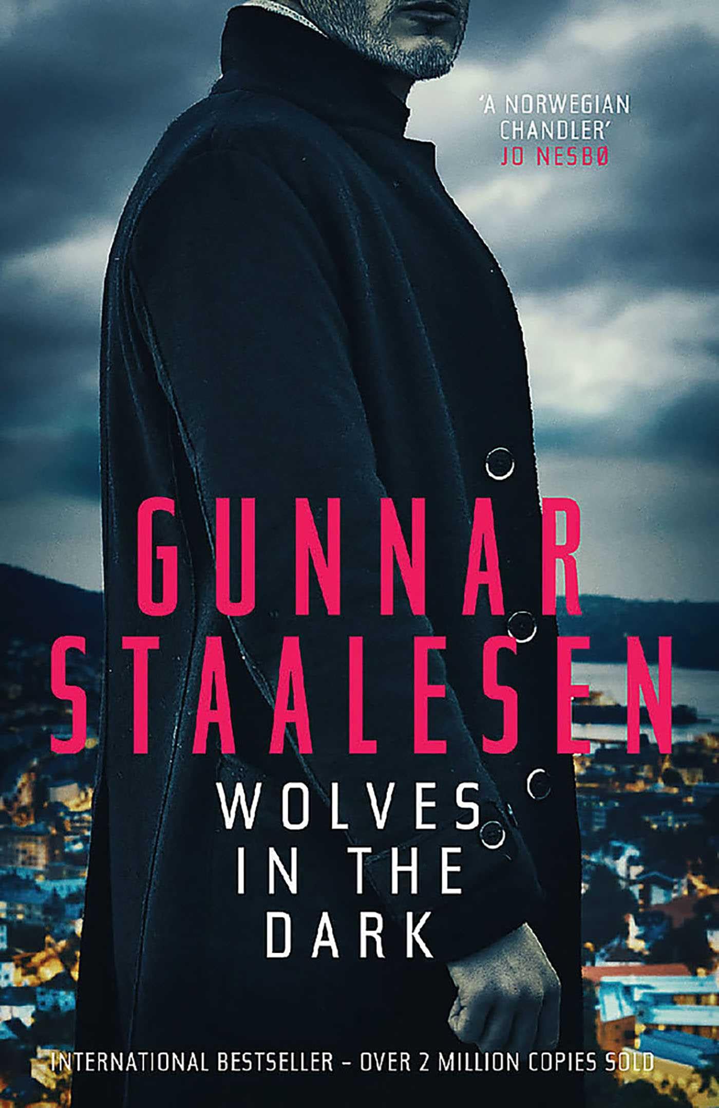 Wolves in the Dark (Volume 17): Volume 19 (Varg Veum)