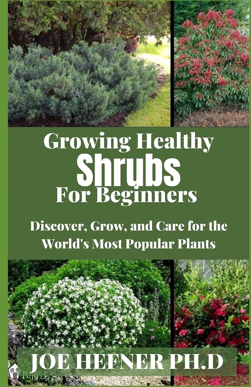 Buy Growing y Shrubs For Beginners Discover, Grow, and Care for the World's Most Popular s