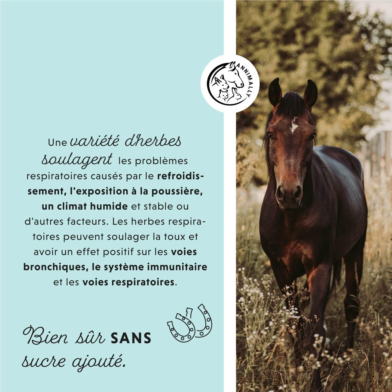 Annimally Sirop toux Cheval 1000ml - Sirop bronchial pour Chevaux Contre la toux et pour apaiser Les Voies respiratoires - Sirop pour la Gorge, Liquide à Base de mélange d'herbes Bronc