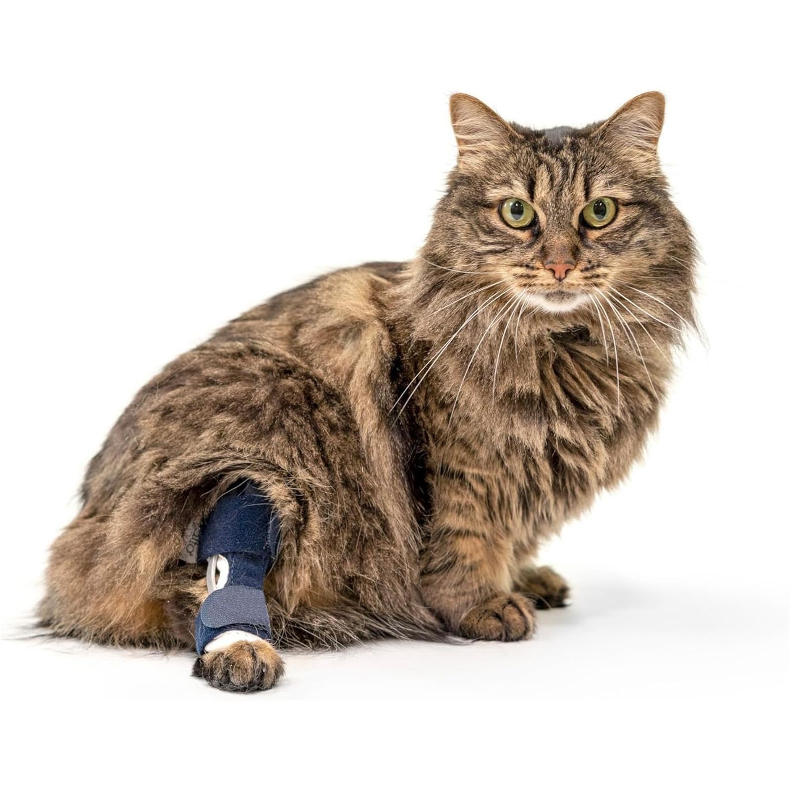 SYH&AQYE Cat Ankle Brace, Adjustable Cat Leg Brace, Leg Support