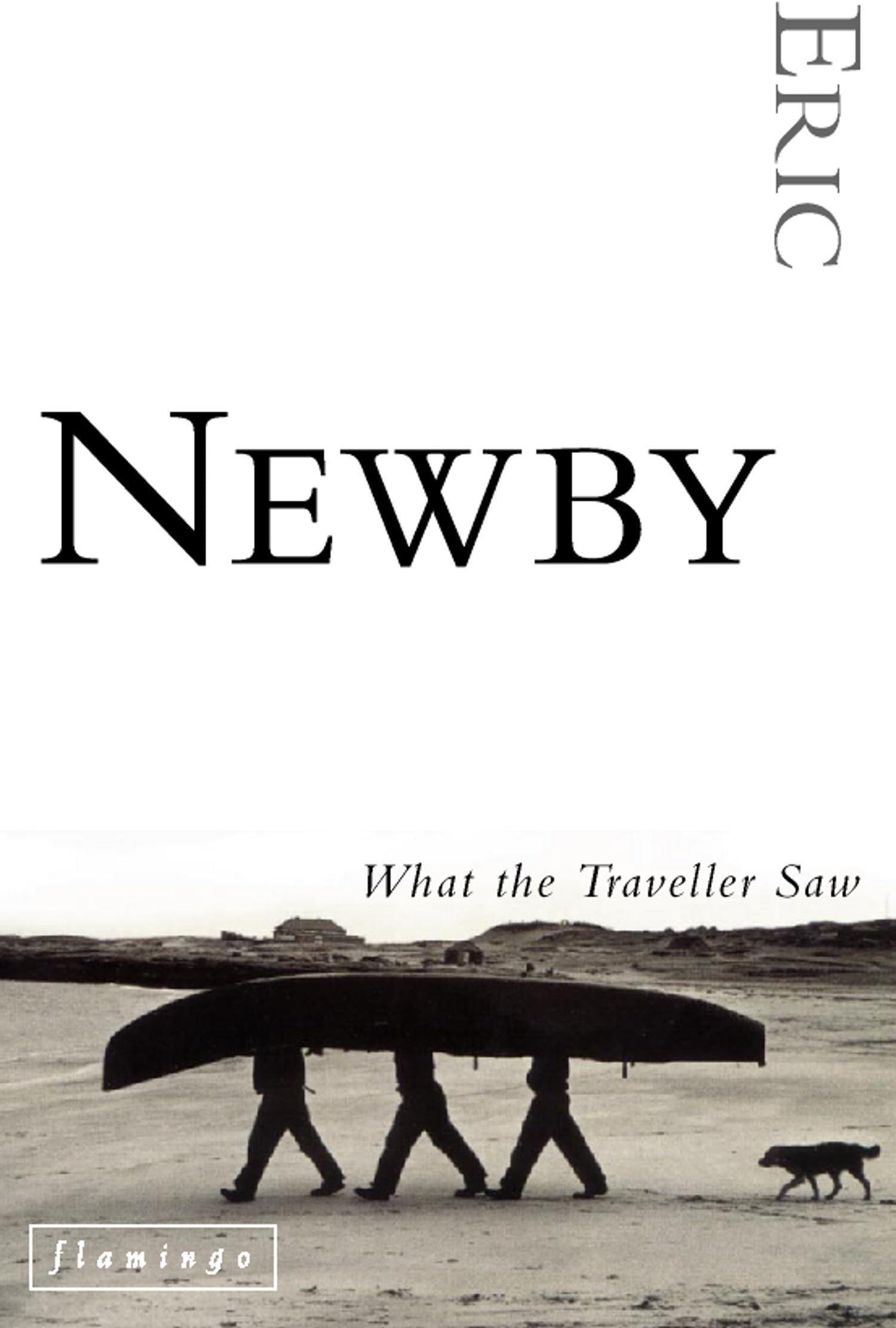 What the Traveller Saw