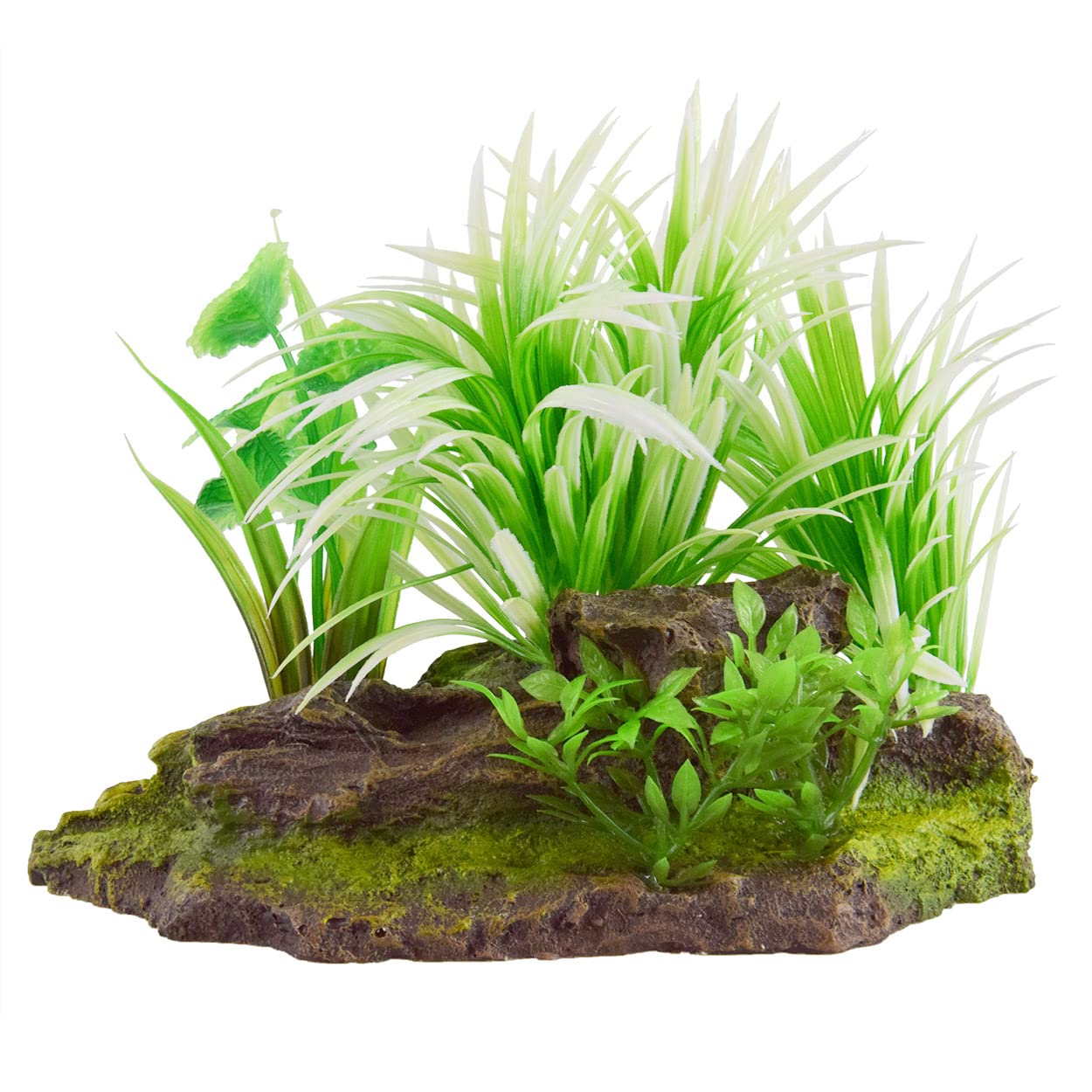 Underwater Treasures Silver Sag