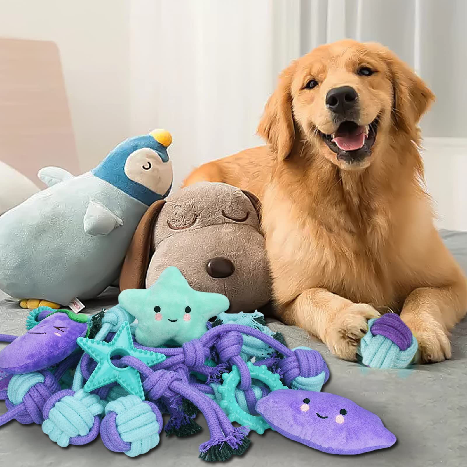 Set di Giochi per Cani - 20 Pezzi Resistenti in Corda per Cuccioli e Cani Grandi