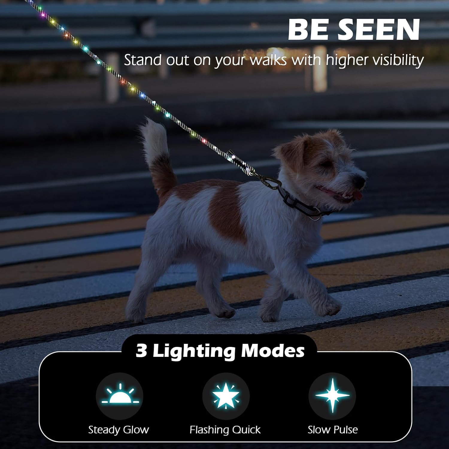 PetBonus Light up Dog Leash, 5FT Rechargeable LED Rope Dog Leash, 3 Lighting Modes, Glow in The Dark for Night Walking Safety, Comfortable Padded Handle Lead for Small Medium Breeds