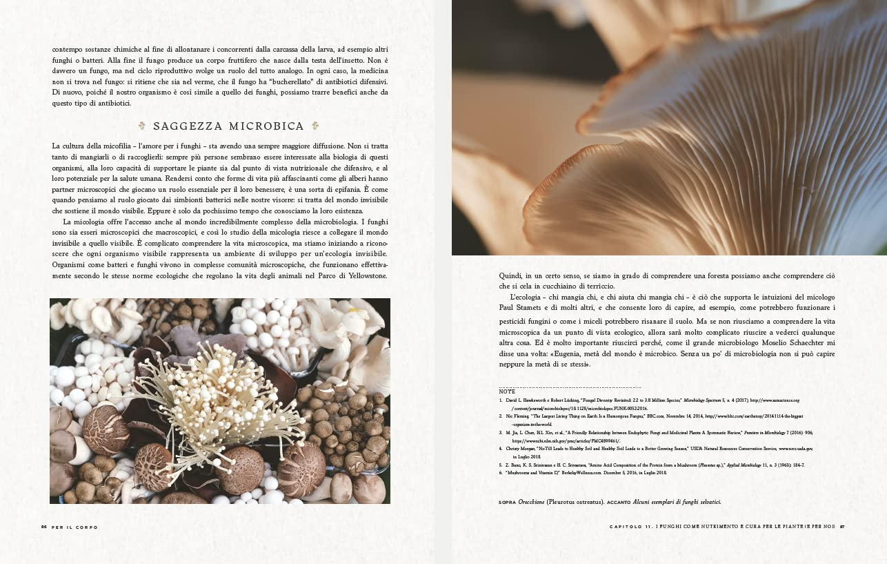Funghi Fantastici: come i funghi possono curarci, espandere la nostra coscienza e salvare il pianeta