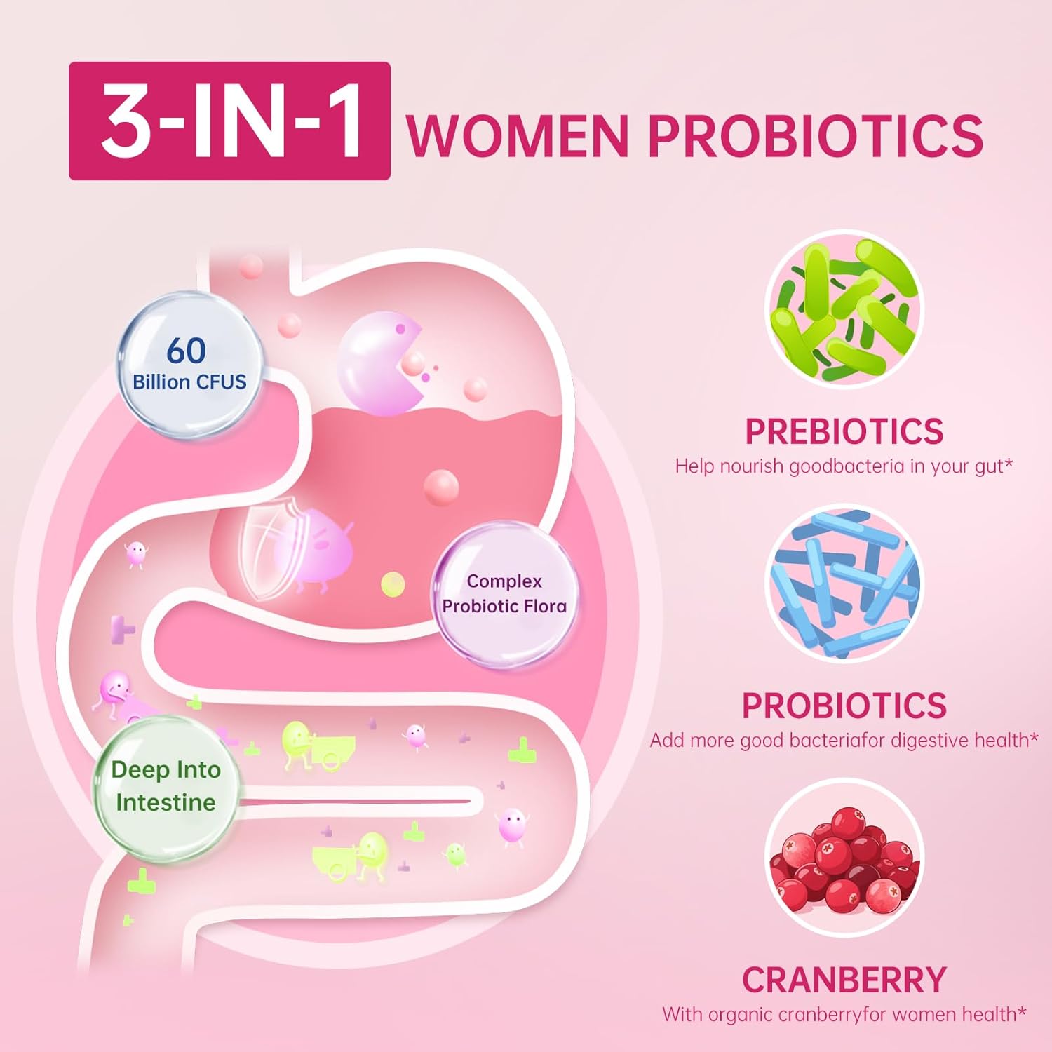 DVO Vaginal Probiotics for Women,pH Balance,60 Billion CFU with Prebiotics & Lactobacillus,Healthy Odor, Yeast Balance & Flora Support for Immune Health 90 Count - Image 3