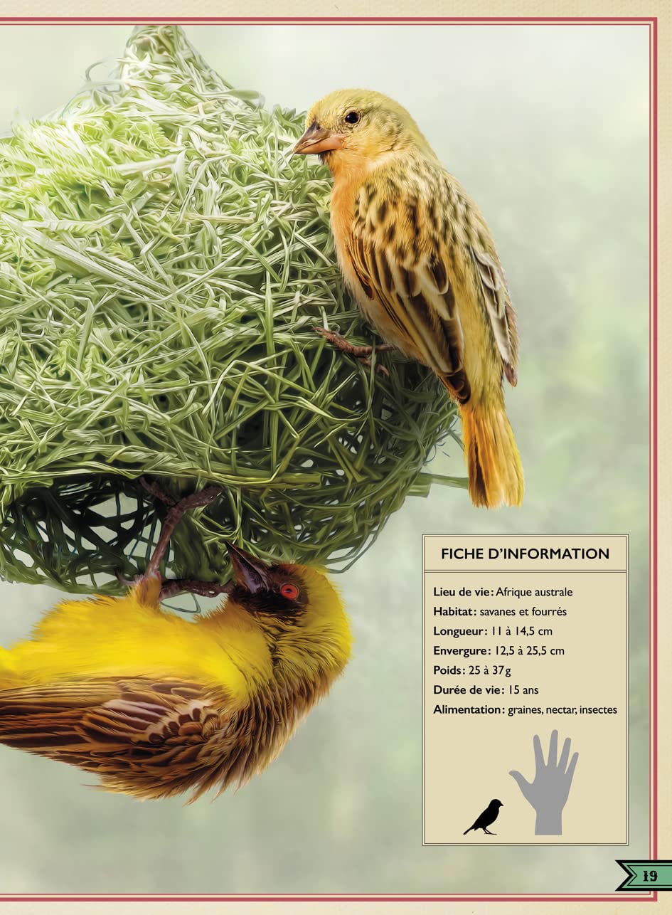 Le Livre extraordinaire des oiseaux spectaculaires