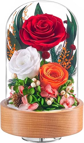 Miniatura 9 de Eterfield Flores para Entrega Prime, Rosas Preservadas de Navidad Regalos para Mujeres - Flor Eterna en Cúpula de Vidrio Regalos de Cumpleaños para