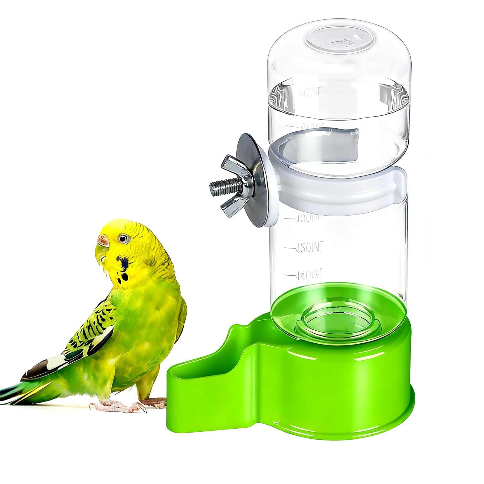 BWOGUE Automatic Bird Water Dispenser - feeding and watering supplies pet | Mubboo