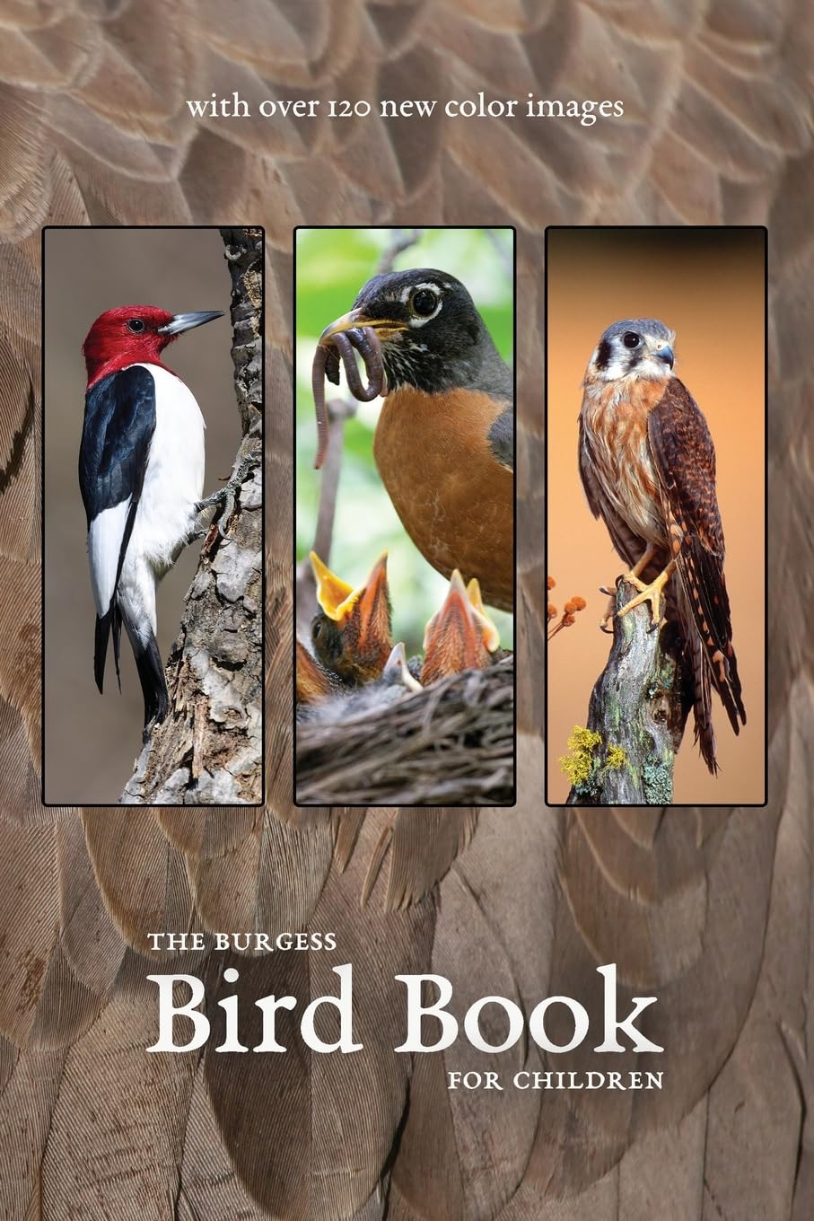 The Burgess Bird Book with New Color Images