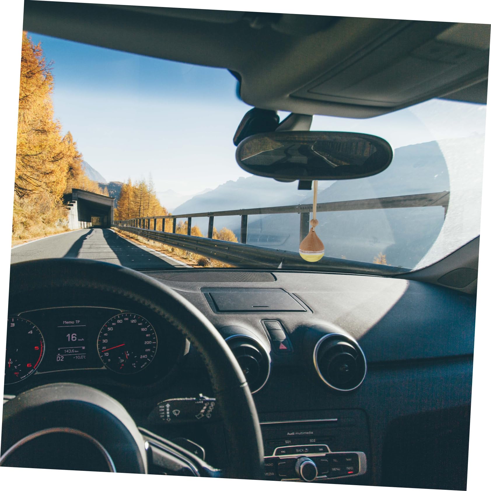 ABOOFAN 60 Pz Ciondolo bottiglia di aromaterapia profumatore auto diffusore accessori natazione gadget per auto terrario arredamento retrò ciondolo per interni auto decorazione dell'auto